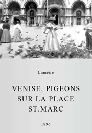 Pigeons Sur La Place Saint-Marc (1896)