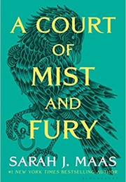 A Court of Mist and Fury (Sarah J. Maas)