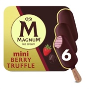 Magnum Berry Chocolate Truffle Mini Ice Cream