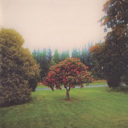 The Bats - Foothills