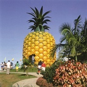 The Big Pineapple, Bathurst, South Africa