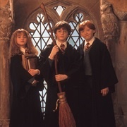 Harry & Hermione & Ron