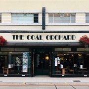 The Coal Orchard - Taunton