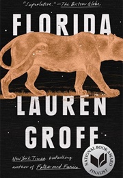 At the Round Earth's Imagined Corners (Lauren Groff)