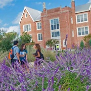 Schreiner University