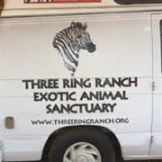 Three Ring Ranch