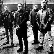 Blinded by the Stars - Pernice Brothers