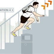 Running Up the Stairs on All 4'S