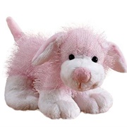 Pink & White Dog