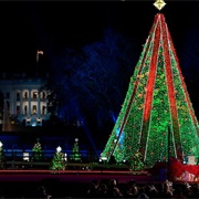 See the National Christmas Tree, DC