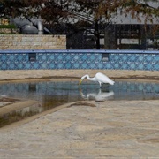 San Pedro Creek Culture Park
