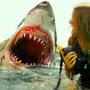 Shark - The Shallows