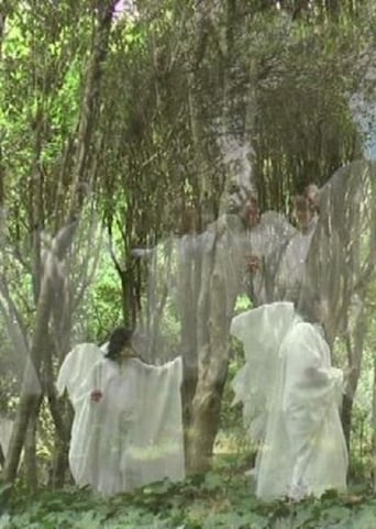 Il Fascino Dell'impossibile (2016)