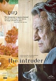 The Intruder (2004)
