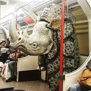 Subway Rhino