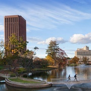University of Massachusetts Amherst
