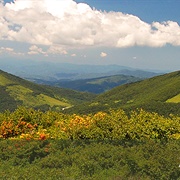Elk Knob State Park