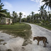 Savave Village, Tuvalu