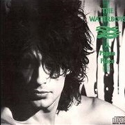 The Waterboys - A Pagan Place