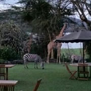 Elsamere, Joy Adamson's Former Home