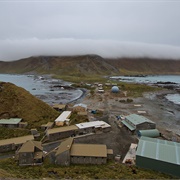 Macquarie Island (Australia Territory)