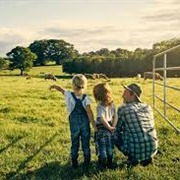 Stay on a Farm