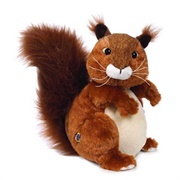 Red Squirrel