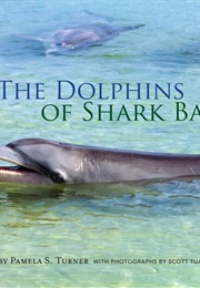 The Dolphins of Shark Bay (Pamela S. Turner)