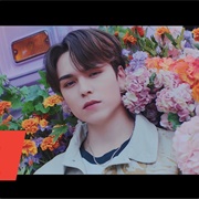 Ready to Love - SEVENTEEN