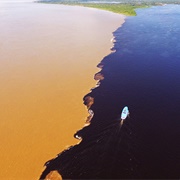 Amazon (Widest River)