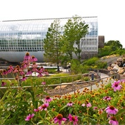 Myriad Botanical Garden, Oklahoma City