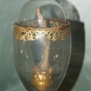 Galileo's Middle Finger