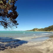 Ohope Beach, New Zealand