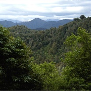 Te Urewera National Park, New Zealand