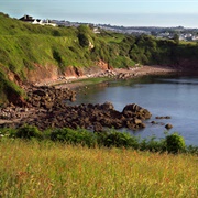 Saltern Cove