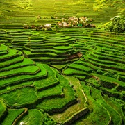 Visit Rice Terraces