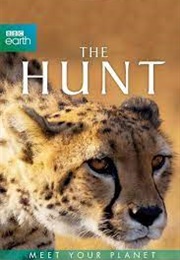 The Hunt (2015)