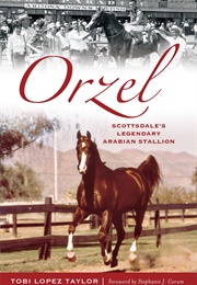 Orzel: Scottsdale's Legendary Arabian Stallion (Tobi Lopez Taylor)