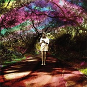 Catch of the Day - Sally Seltmann