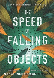 The Speed of Falling Objects (Nancy Richardson Fischer)