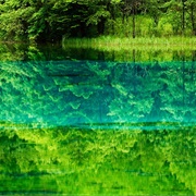 Five-Flower Lake, Jiuzhaigou National Park, China