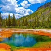Yellowstone National Park, Wyoming, USA