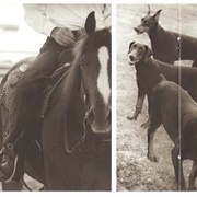 In My Own Mind - Lyle Lovett