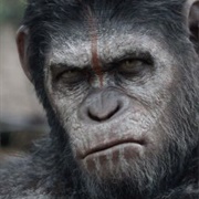 Andy Serkis: The Planet of the Apes Trilogy