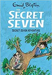 Secret Seven Adventure (Enid Blyton)