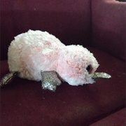 Wilma (Rename: Ducky)