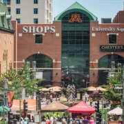 University of Minnesota Rochester