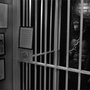 Dr. Gloom's Crypt of Curiosities