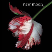 New Moon