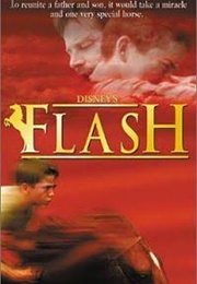 Flash (1997)